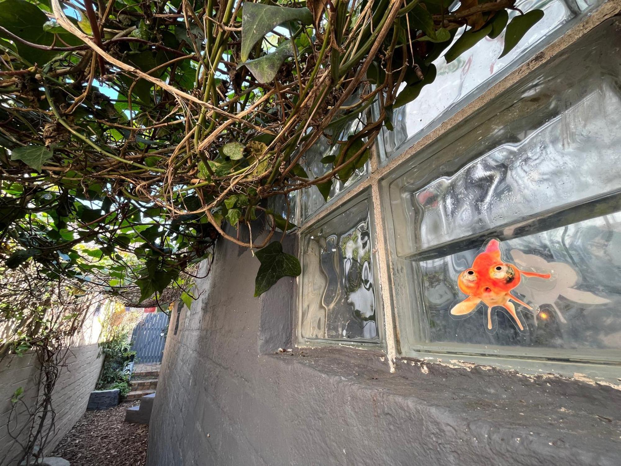 Seaside Getaway @ Swallow House Suite #2 Ciudad del Cabo Exterior foto